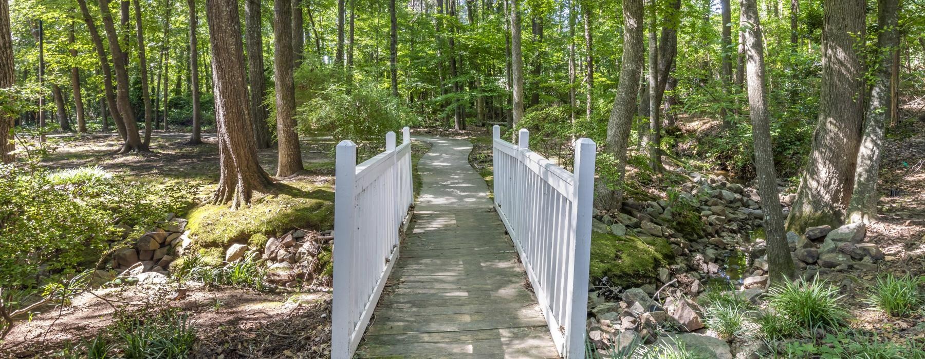 a wooden bridge in a forest